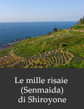 Le mille risaie (Senmaida) di Shiroyone