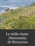 Le mille risaie (Senmaida) di Shiroyone