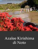 Azalee Kirishima di Noto