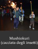 Mushiokuri (cacciata degli insetti)