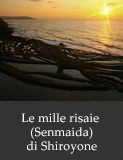 Le mille risaie (Senmaida) di Shiroyone