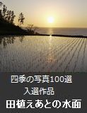 cAƂ̐ʁi֓sj