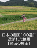 日本の棚田100選に選ばれた絶景「笹波の棚田」