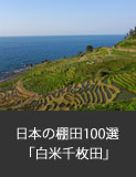 日本の棚田100選「白米千枚田」