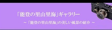 \o̗RCM[