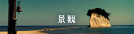 \o̗RCCu[@iς