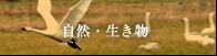 \o̗RCCu[@RE