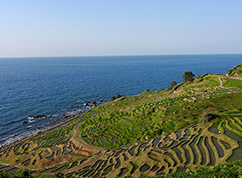 能登の里山里海