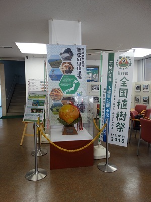 展示の様子