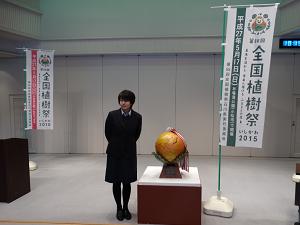 展示の様子