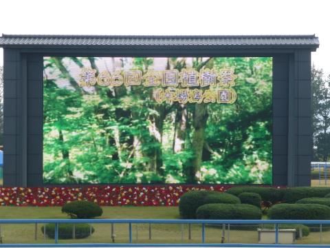 第66回全国植樹祭賞の様子