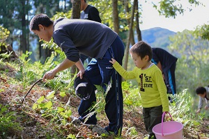 落ち葉で隠れているクヌギを、一生懸命探しました。