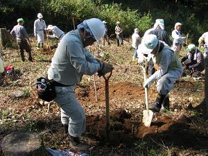 植樹活動の様子