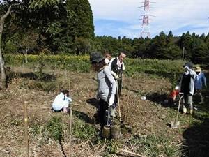 竹筒ご飯作りの様子