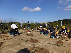 植樹する様子