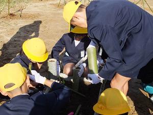 竹筒えを使って苗木栽培をする様子