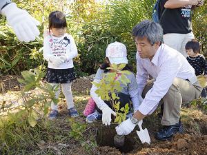 植樹活動の様子