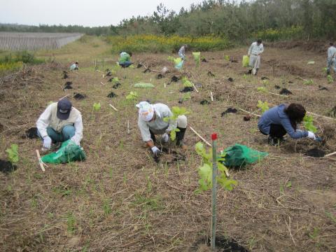 記念植樹の様子