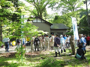 平町千本桜の里づくり