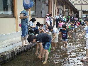 イワナ掴み