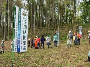 竹林整備の様子