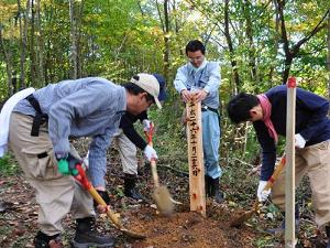 竹林整備の様子