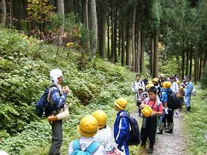 織田毅氏による大トチノキの説明