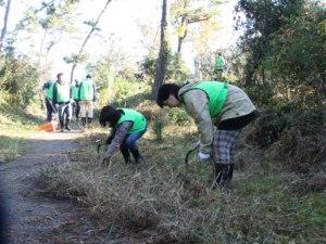 エノキの植樹をする様子