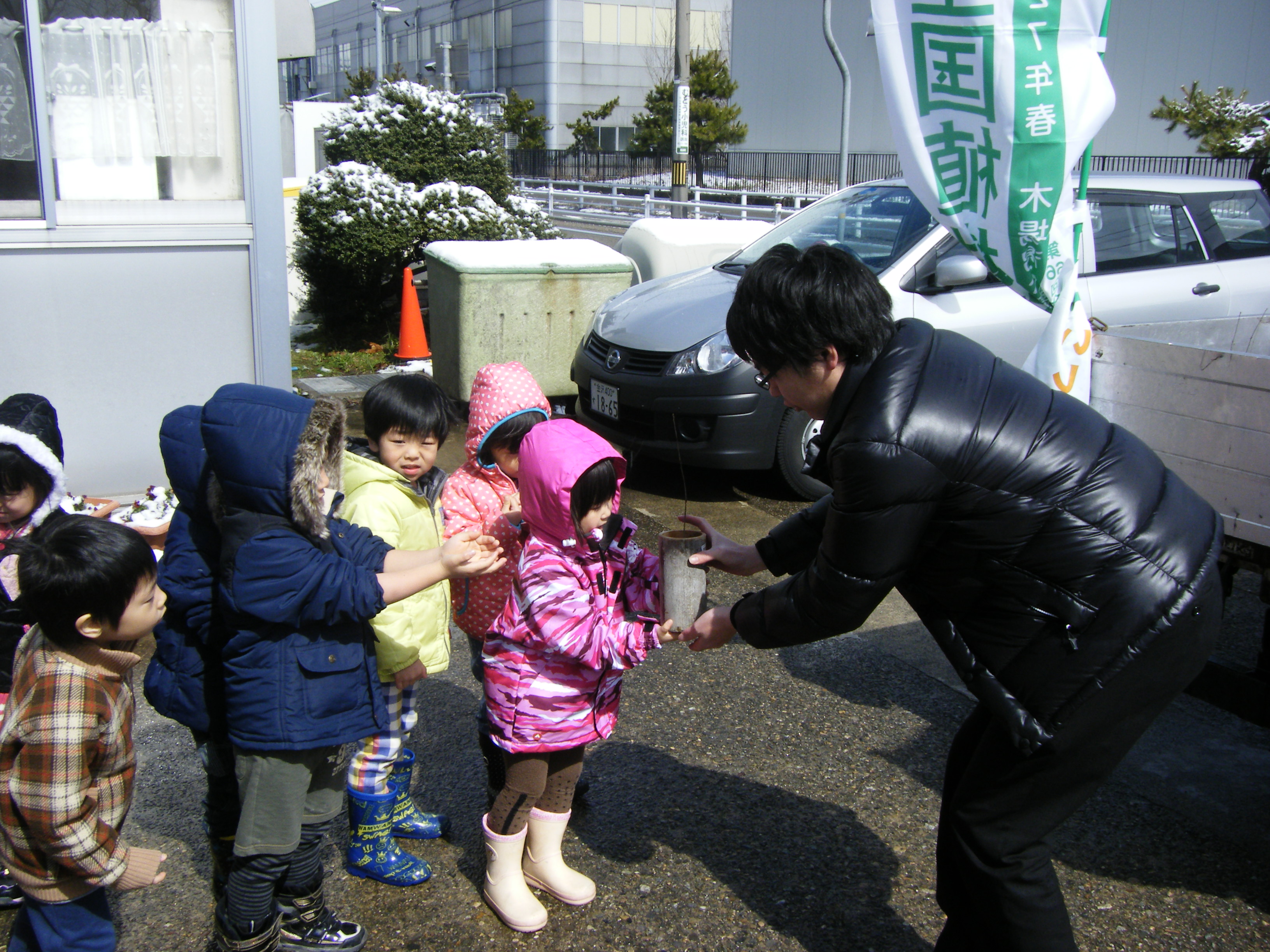 苗木の引渡し