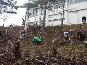 植樹活動の様子