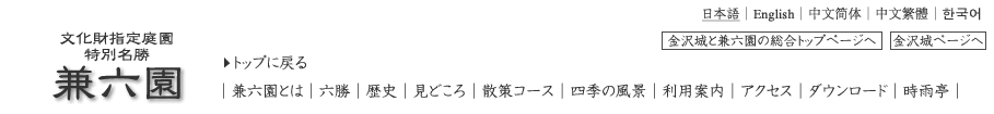 w뉀ʖ@Z