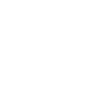 看護部としての活動